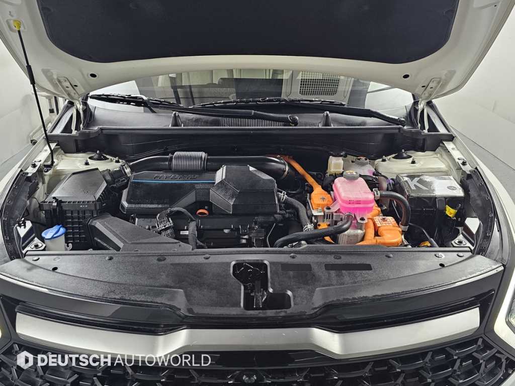 KIA Sportage - Vista 5