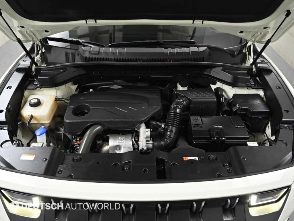 Ssangyong Torres - Vista 6