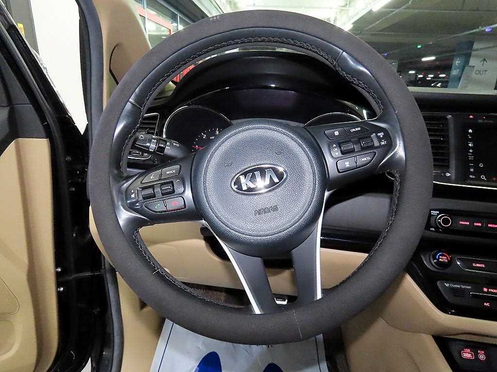 KIA Carnival - Vista 8