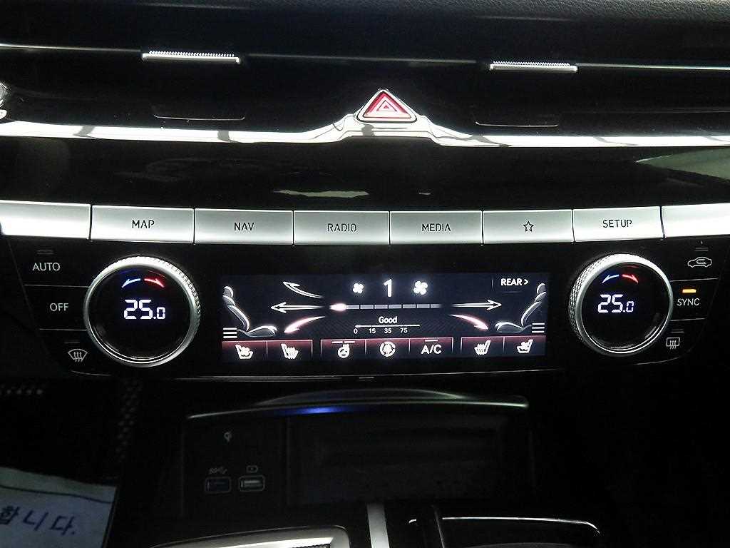 Genesis G80 - Vista 11