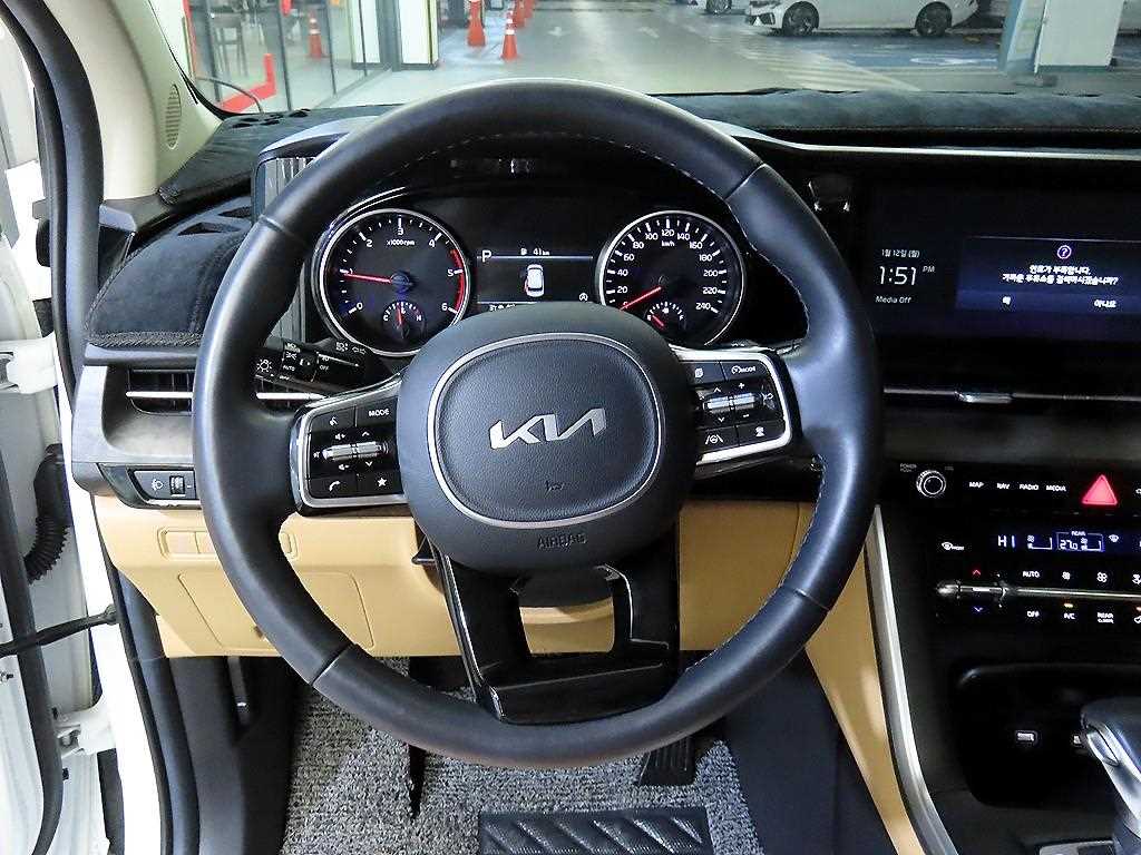 KIA Carnival - Vista 9