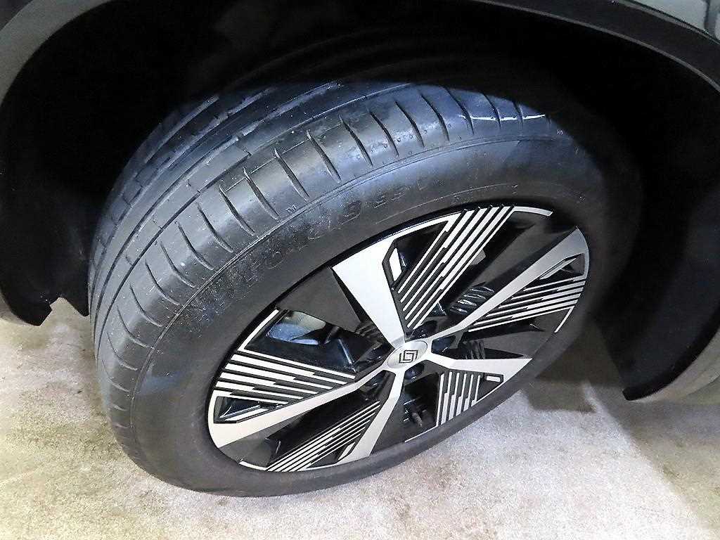 SAMSUNG Grand Koleos 2025 Negro - Importación desde Corea - HF Imports Iquique - Foto 20