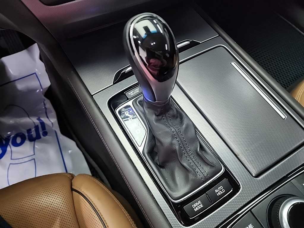 HYUNDAI Genesis - Vista 8