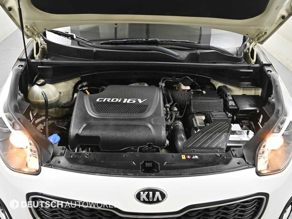 KIA Sportage - Vista 6