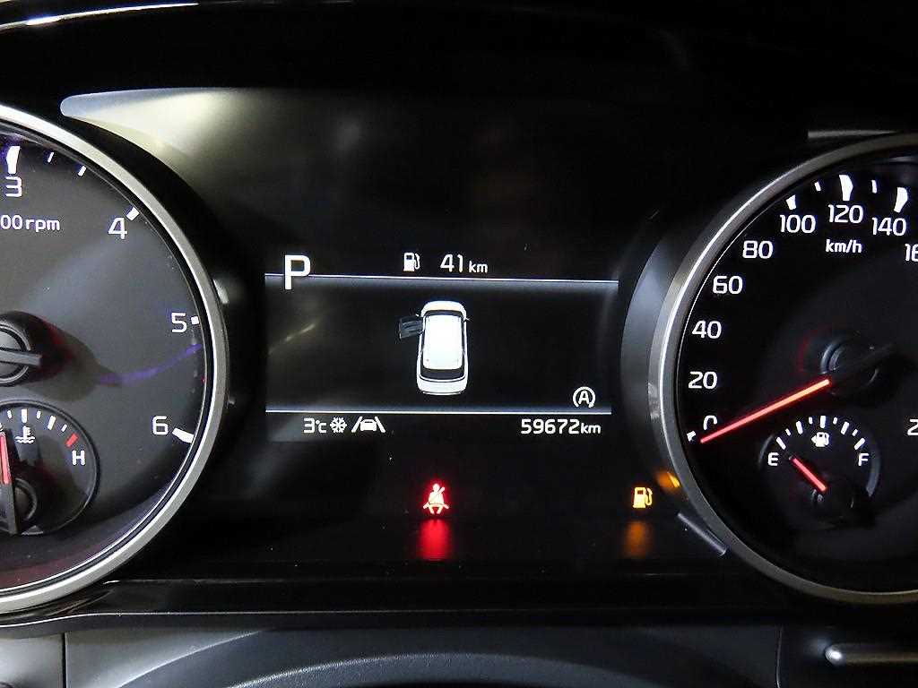 KIA Carnival - Vista 10