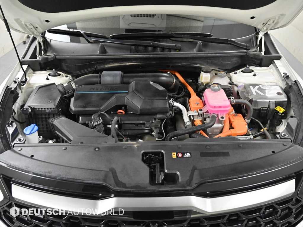 KIA Sportage - Vista 6