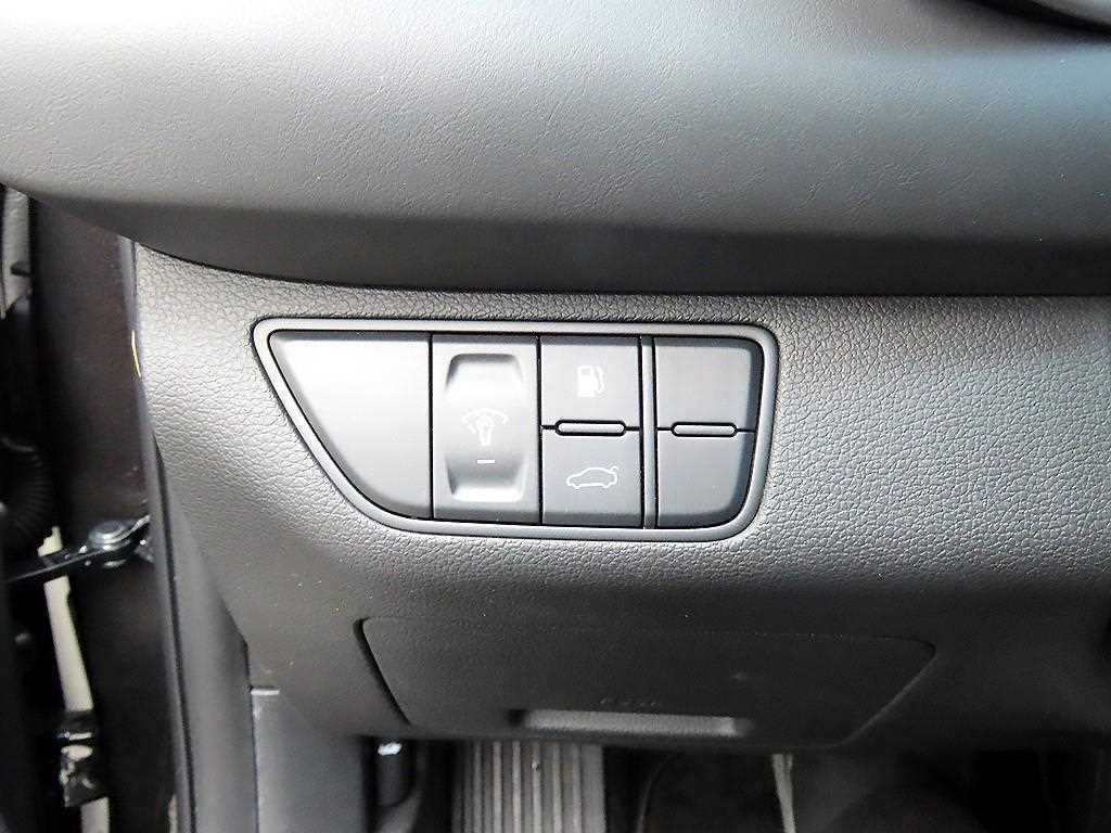 Genesis G70 - Vista 12