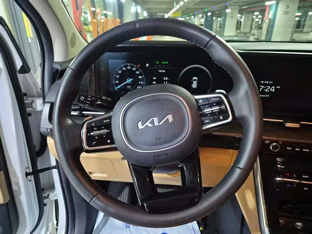 KIA Carnival - Vista 10