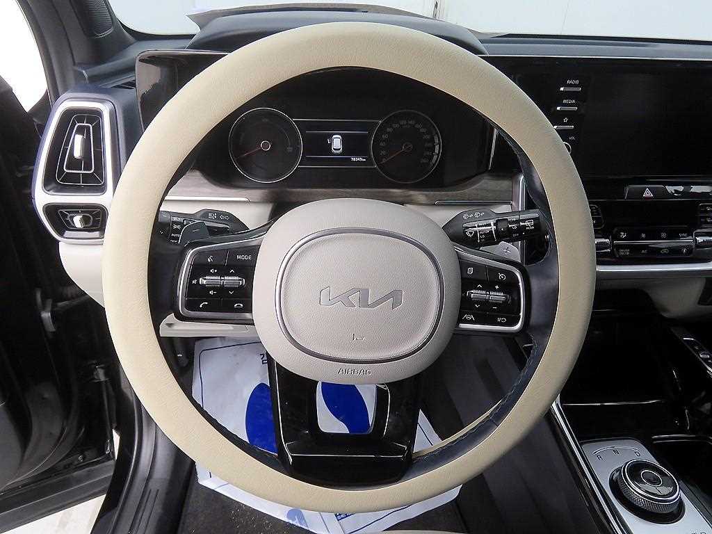 KIA Sorento - Vista 10