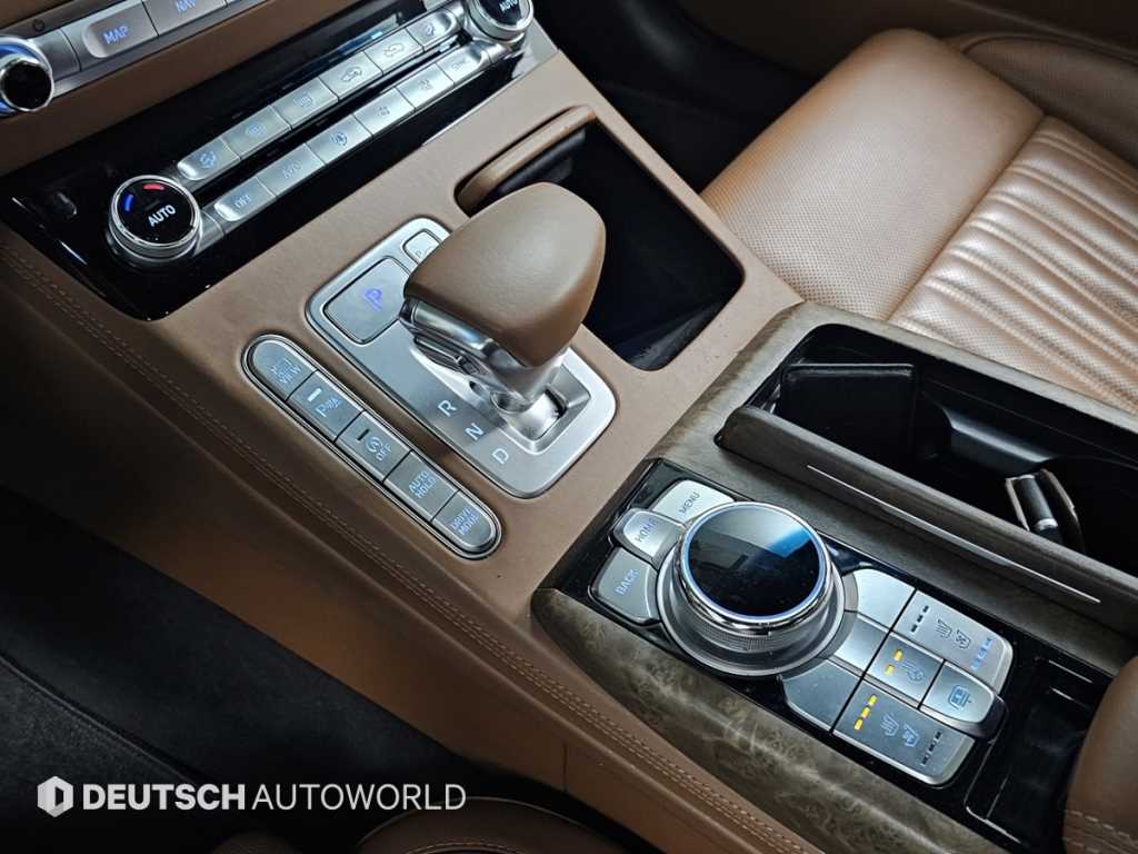 Genesis G90 - Vista 9