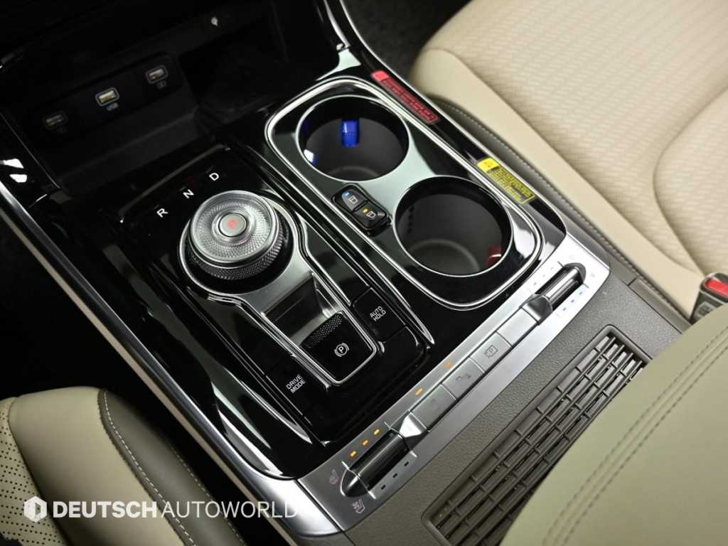 KIA Carnival - Vista 9