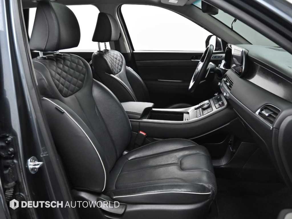 HYUNDAI Palisade - Vista 10