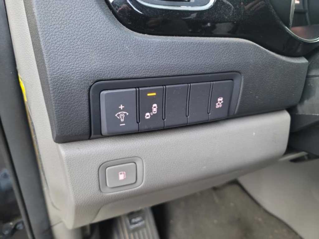 KIA Carnival - Vista 8