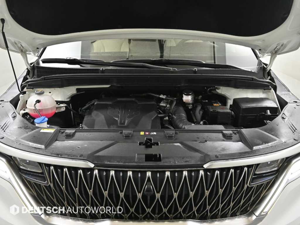 KIA Carnival - Vista 6