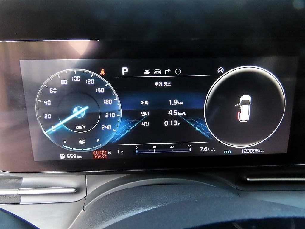 KIA Carnival - Vista 10