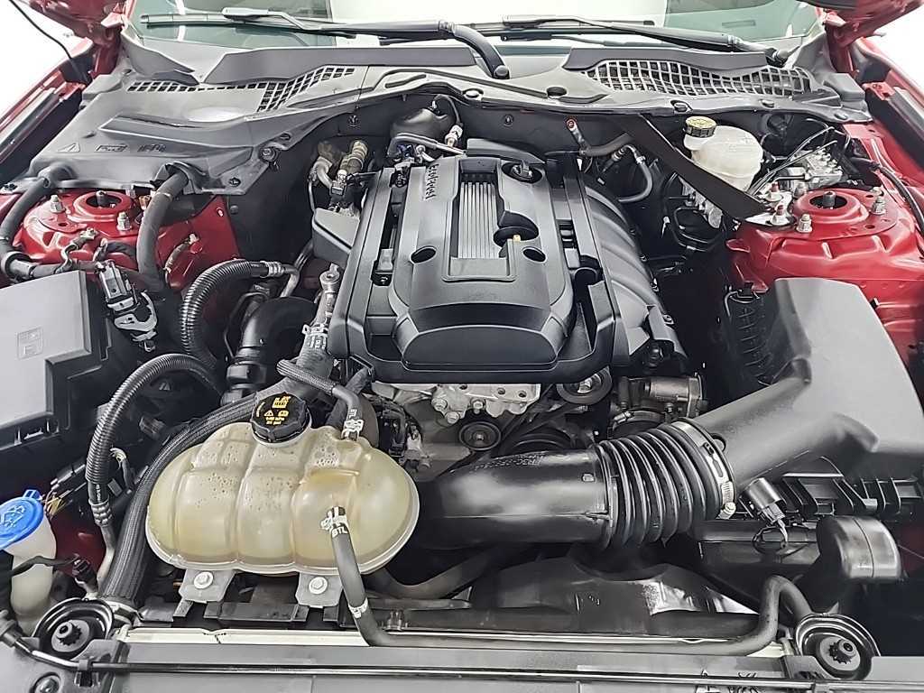 Ford Mustang - Vista 5