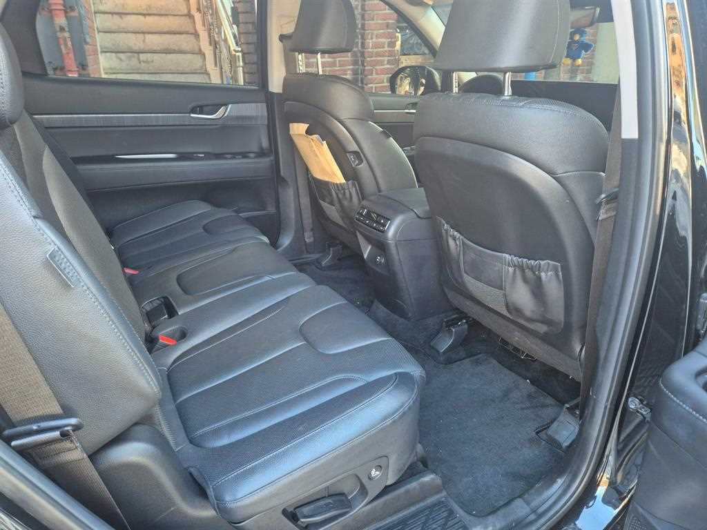HYUNDAI Palisade - Vista 10