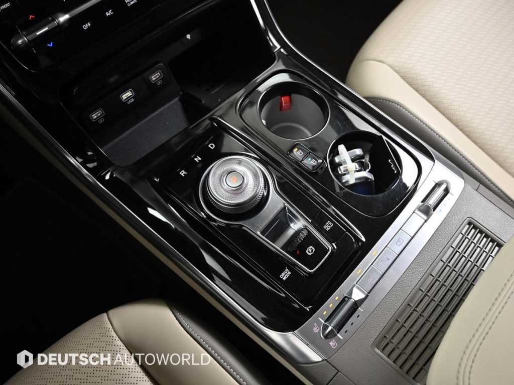 KIA Carnival - Vista 9