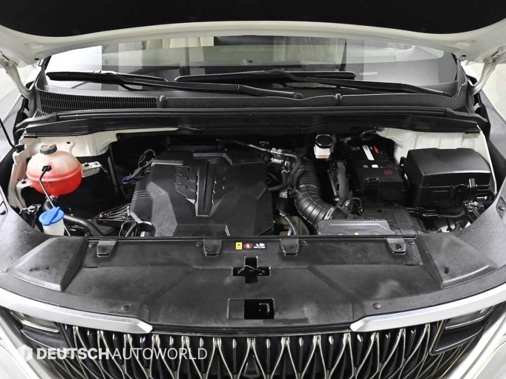 KIA Carnival - Vista 6