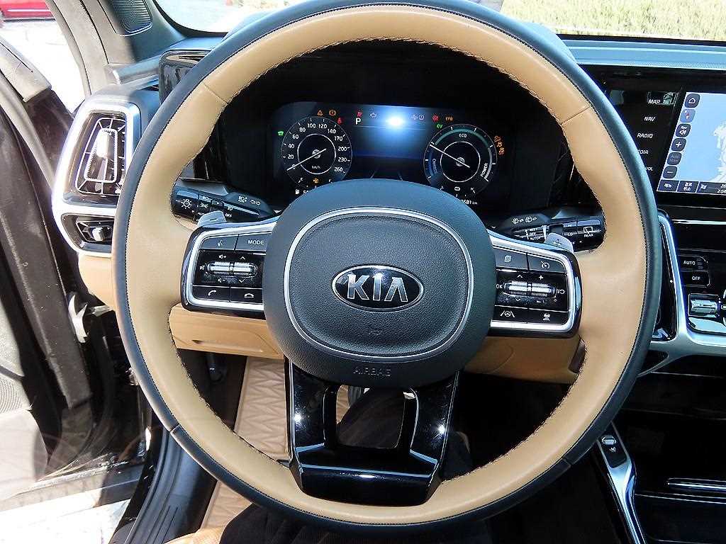 KIA Sorento - Vista 8