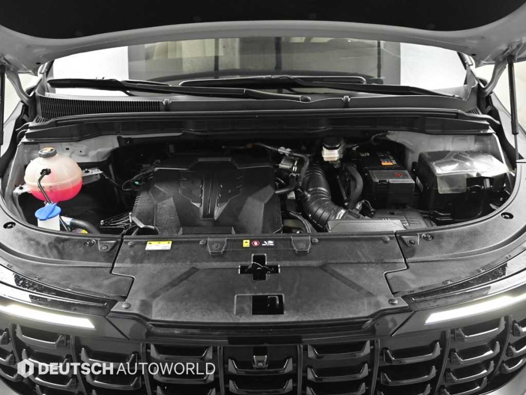 KIA Carnival - Vista 6