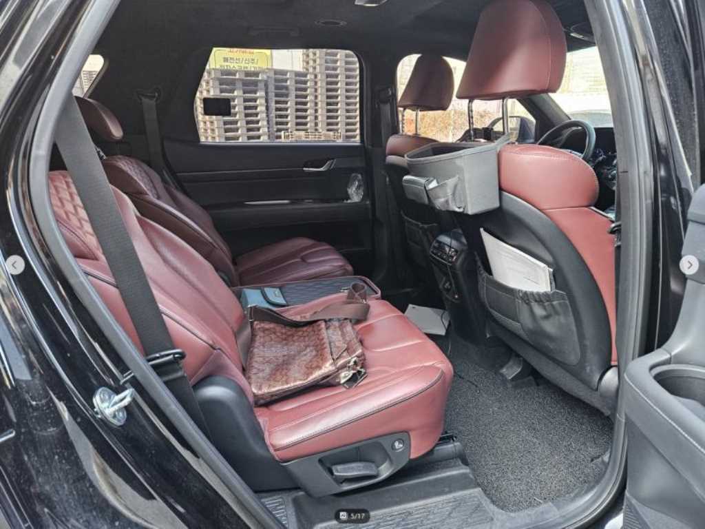 HYUNDAI Palisade - Vista 8