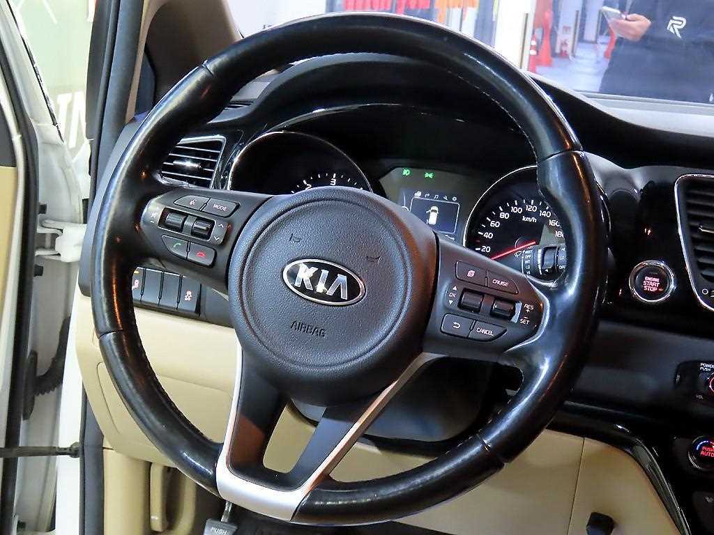 KIA Carnival - Vista 8