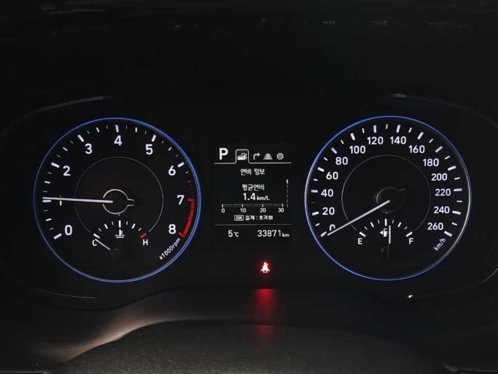 HYUNDAI Palisade - Vista 10