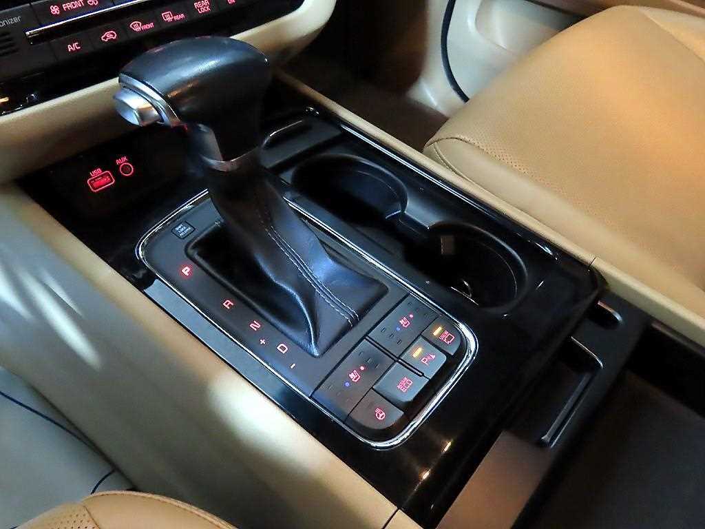 KIA Carnival - Vista 12