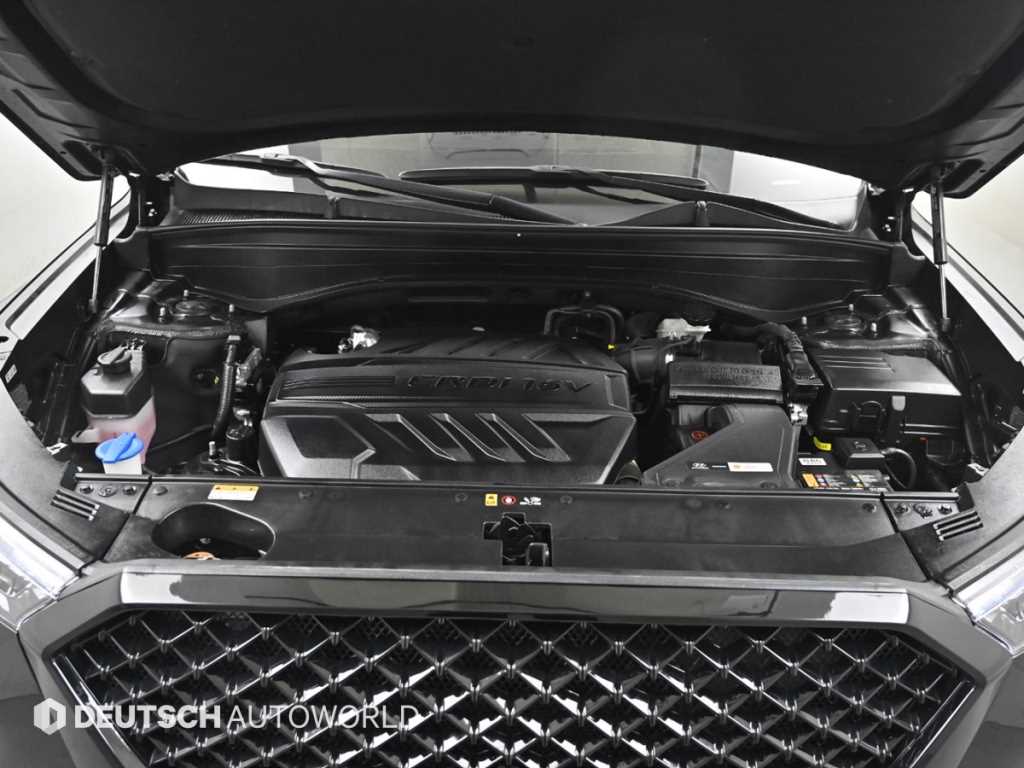 HYUNDAI Palisade - Vista 6