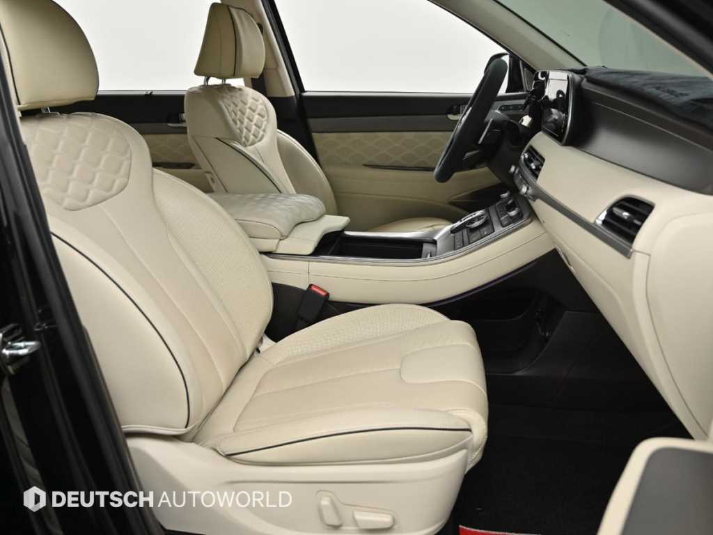 HYUNDAI Palisade - Vista 10