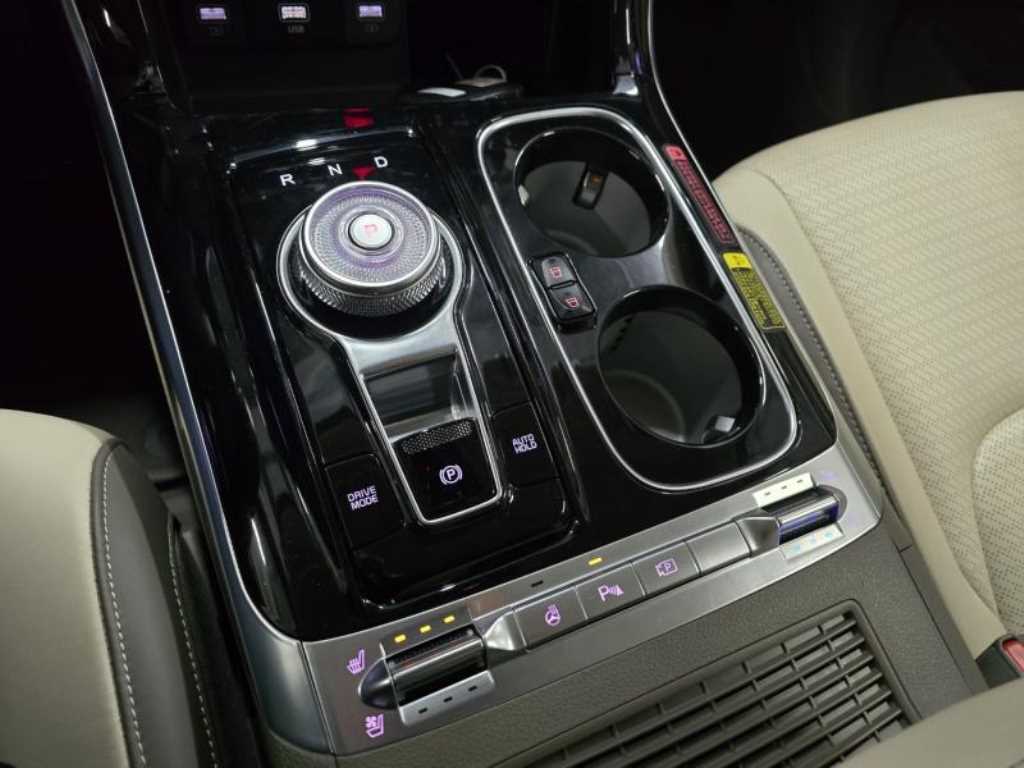 KIA Carnival - Vista 10