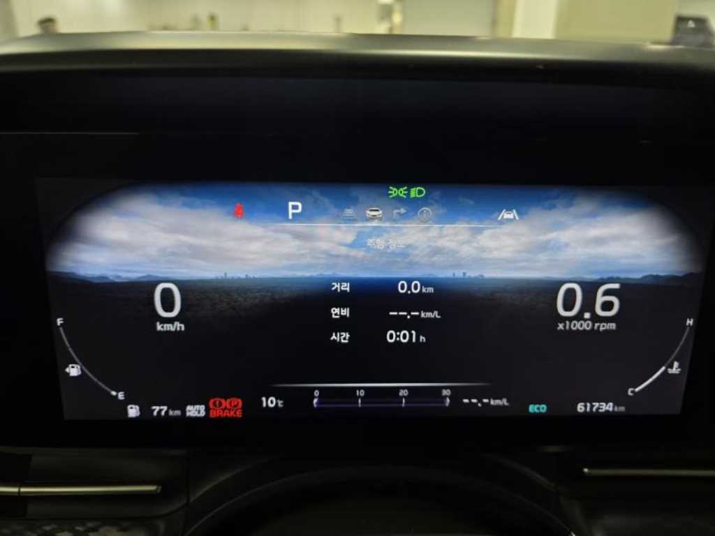 KIA Carnival - Vista 8