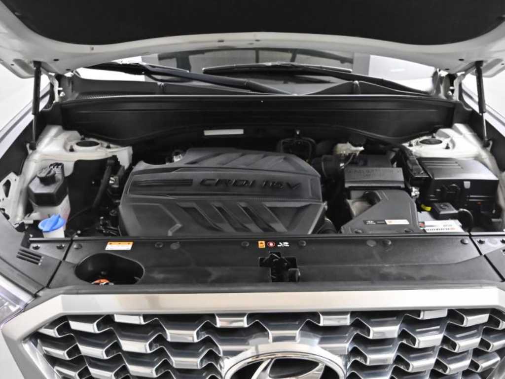 HYUNDAI Palisade - Vista 6