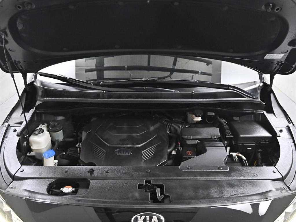 KIA Carnival - Vista 6