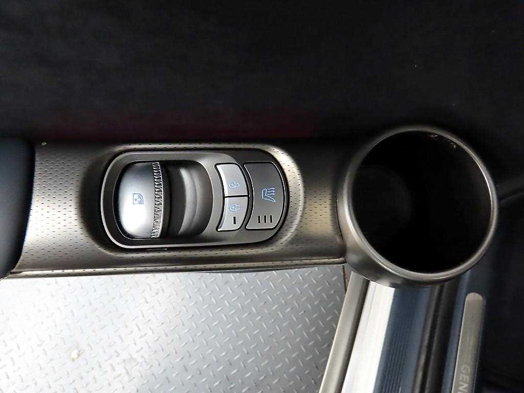 Genesis GV60 - Vista 12