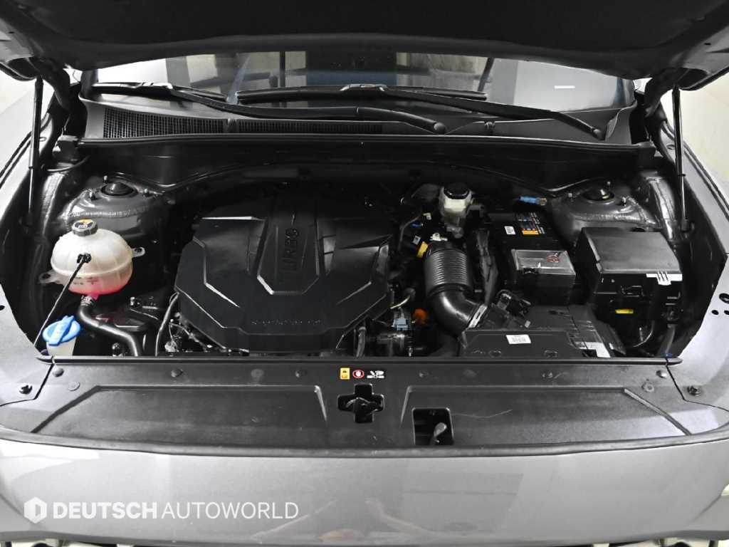 HYUNDAI Santa Fe - Vista 6