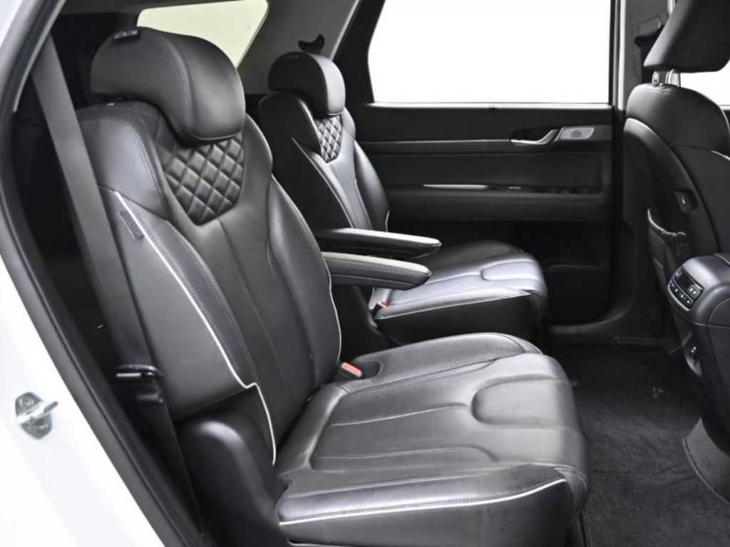 HYUNDAI Palisade - Vista 12