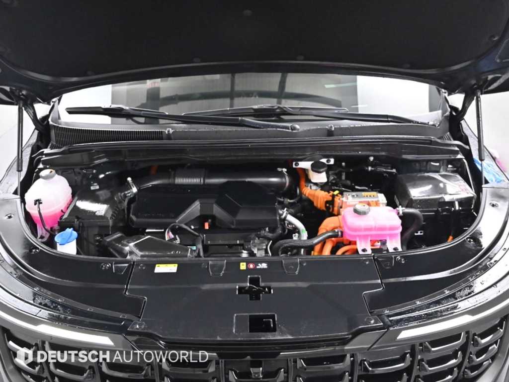 KIA Carnival - Vista 6