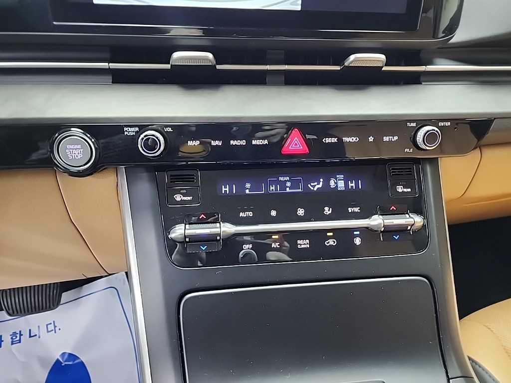 KIA Carnival - Vista 10