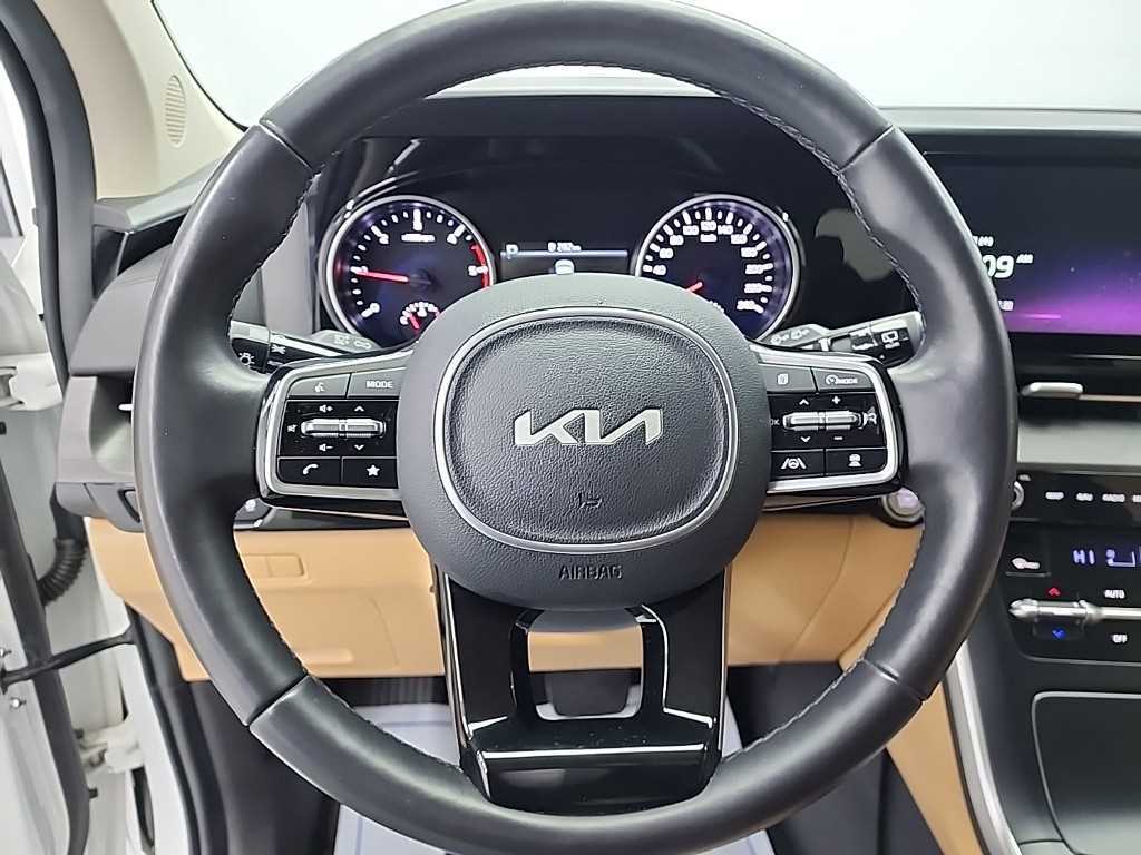 KIA Carnival - Vista 9