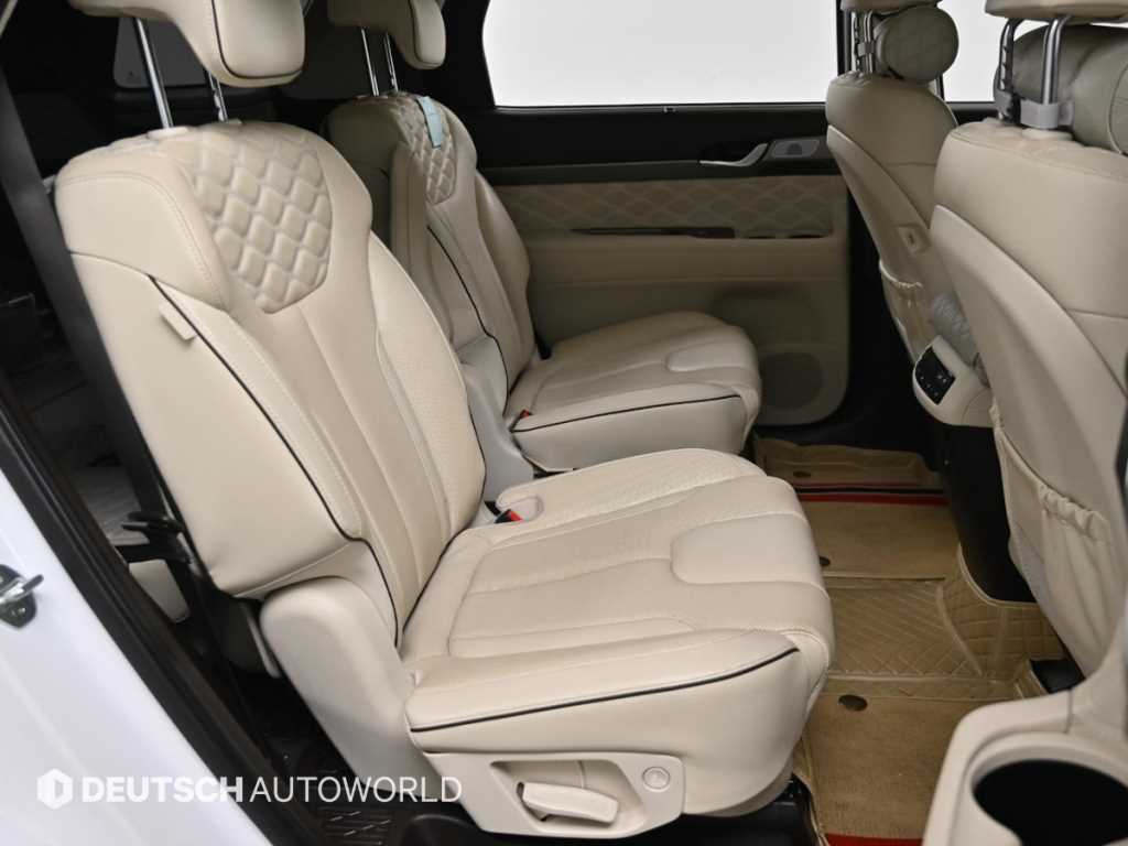 HYUNDAI Palisade - Vista 12