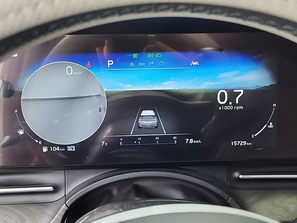 KIA Carnival - Vista 6