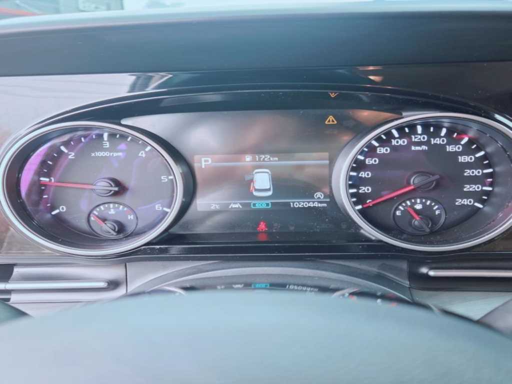 KIA Carnival - Vista 8