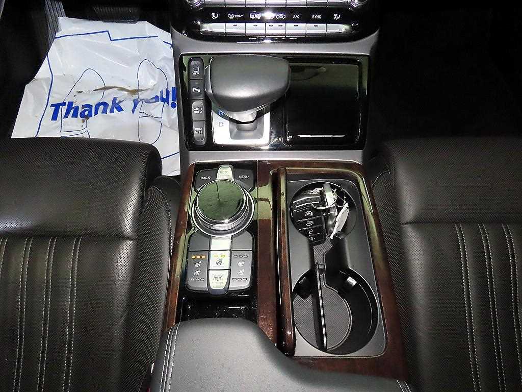 Genesis EQ900 - Vista 12