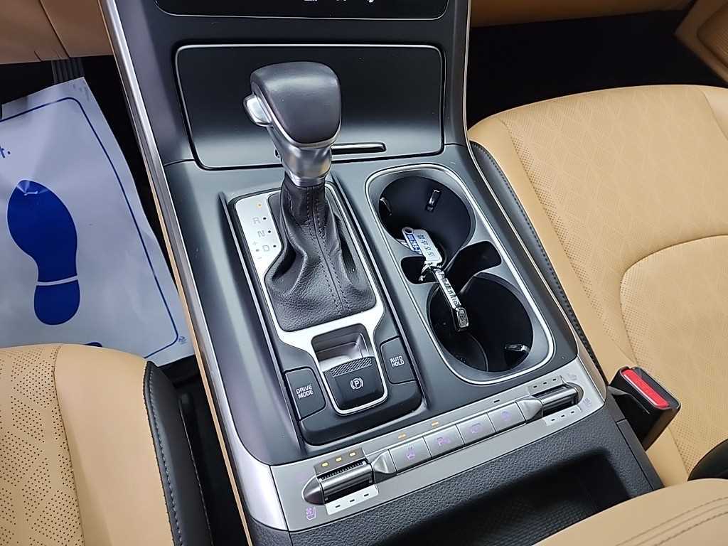 KIA Carnival - Vista 8