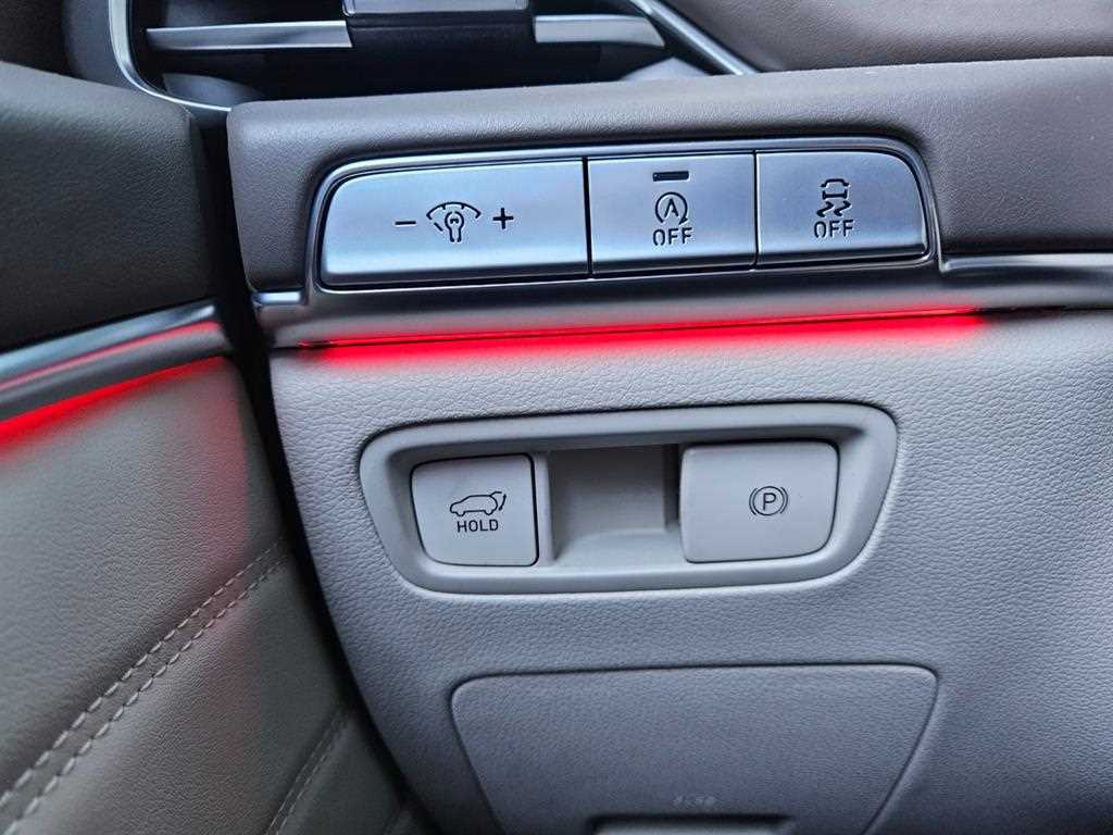 Genesis GV80 - Vista 10