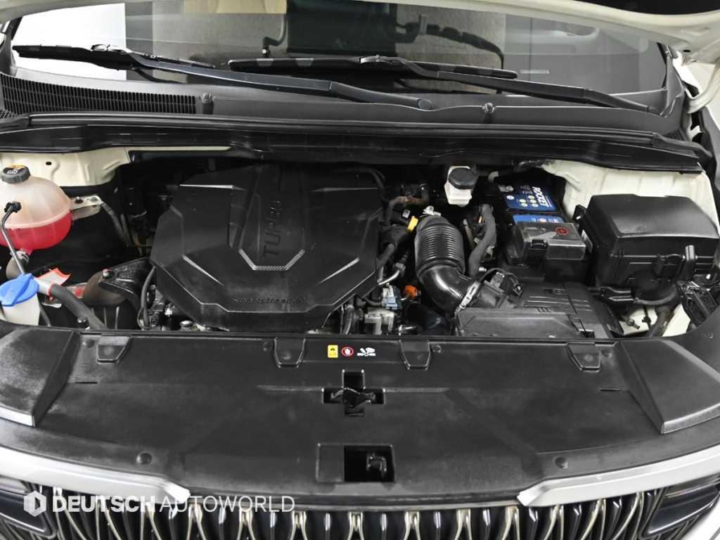 KIA Carnival - Vista 6