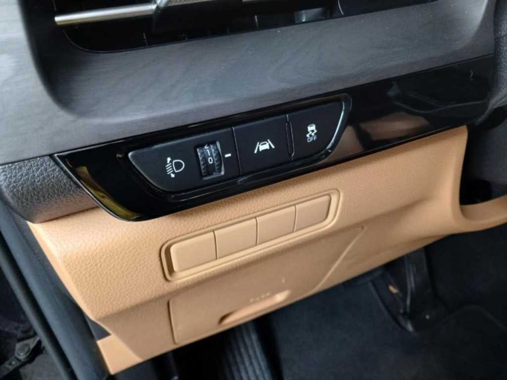 KIA Carnival - Vista 12