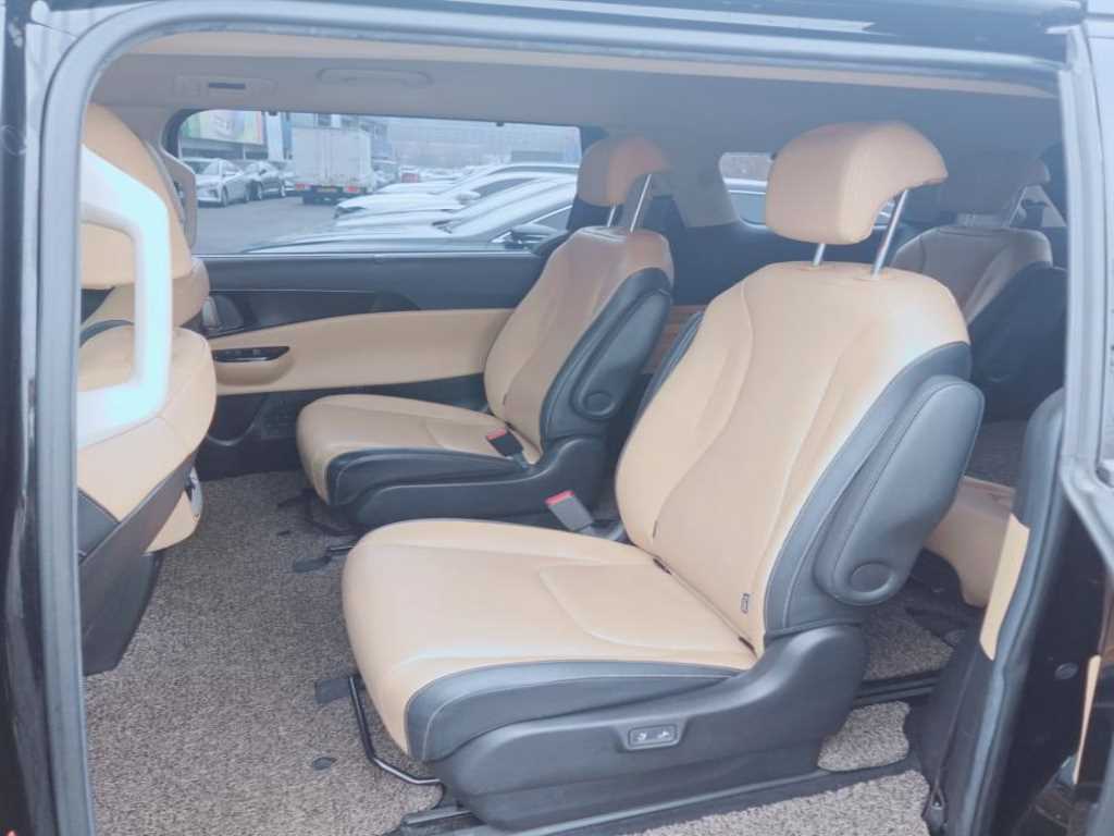 KIA Carnival - Vista 12